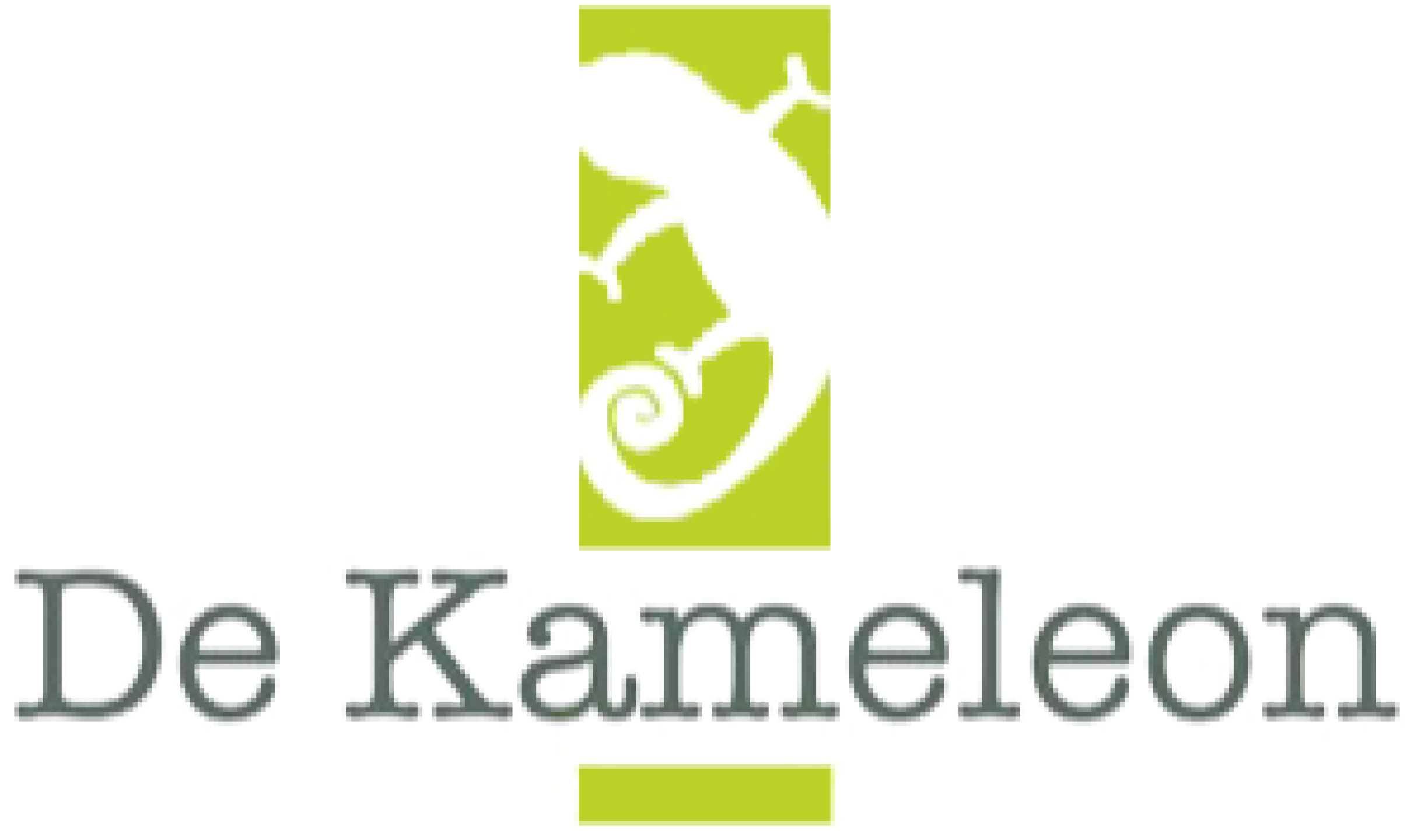 Logo-Kameleon